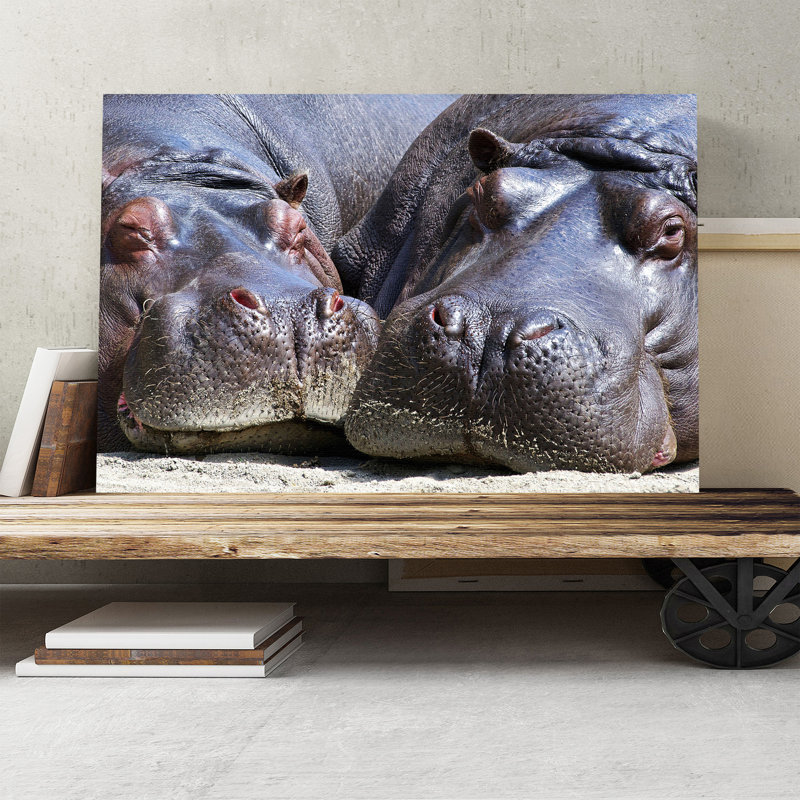 Two Hippos Hippopotamus - Wrapped Canvas, 50cm H x 76cm W