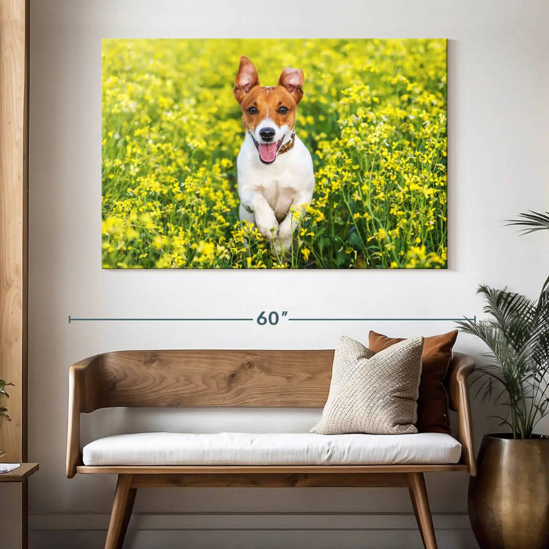 Happy Jack Russell, H 34 po x l 51 po