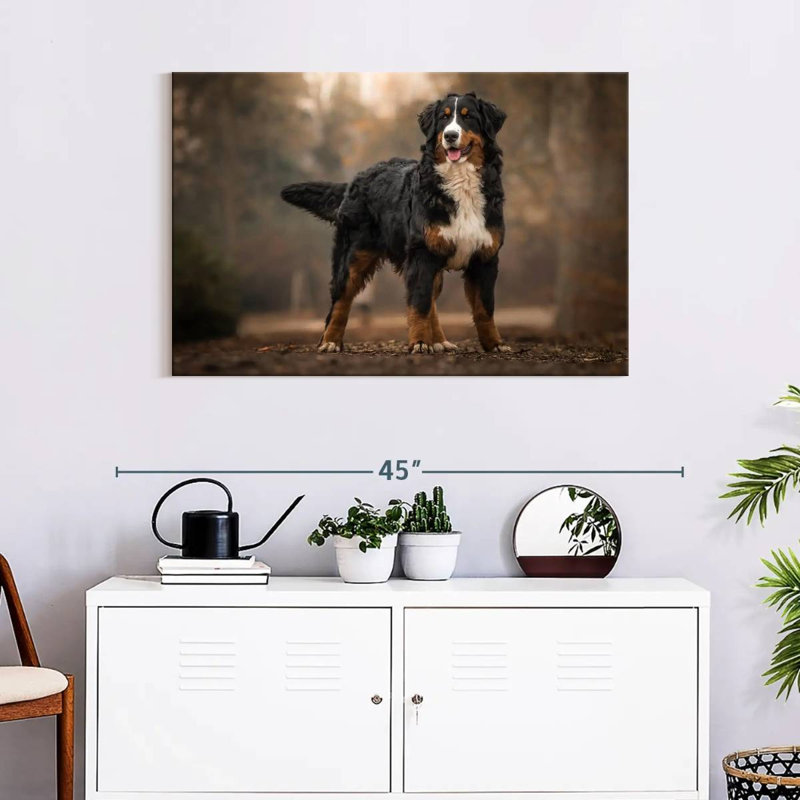 Brampt Bernese Mountain Dog, 24" H x 36" W