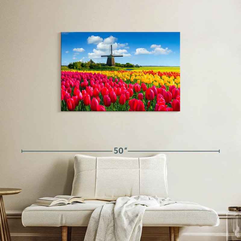 Alvord Holland Tulip Field, 24" H x 36" W