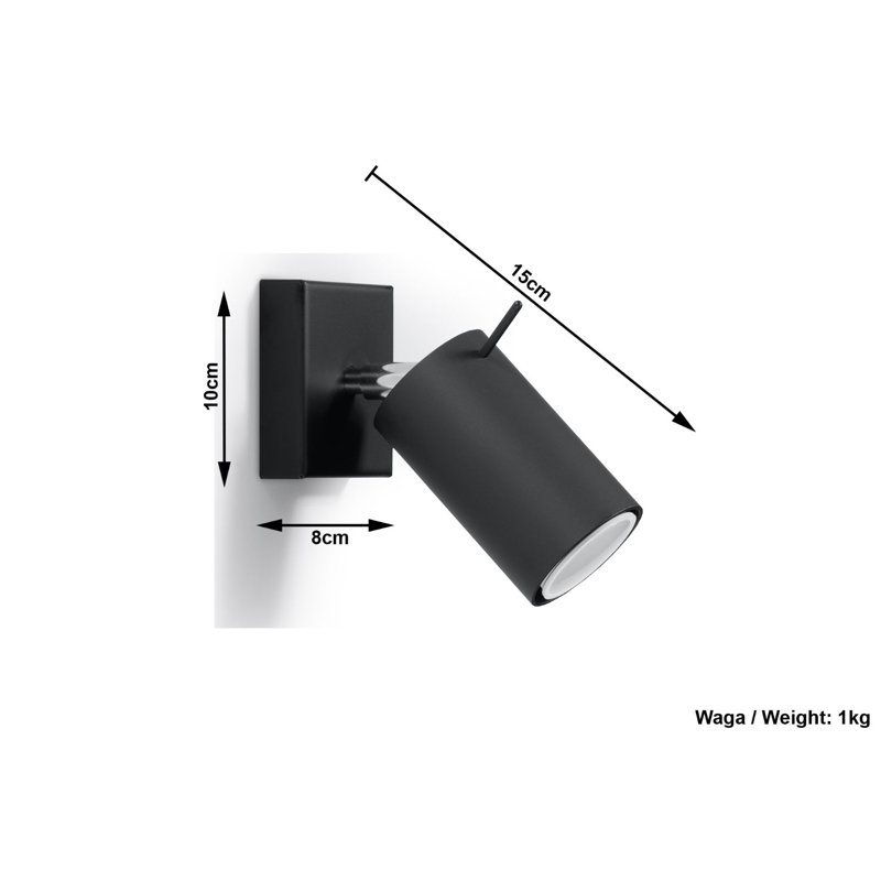 Lejon Wall Sconce, 10" H x 8" W x 15"D , Black, 60