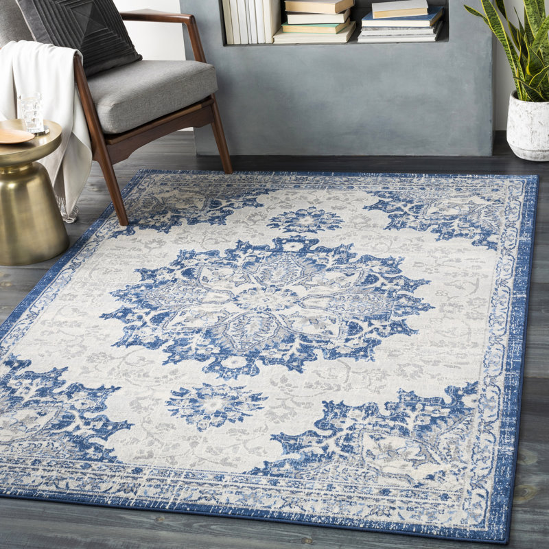 Swaney Southwestern Indoor Rug, Rectangle 2' x 3'