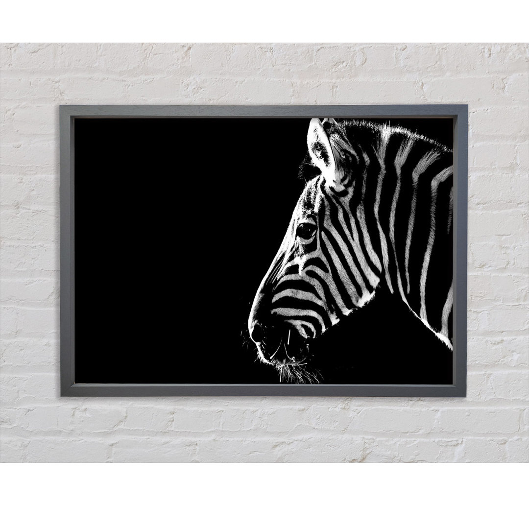 Zebra-Schnurrhaare - Einzelne Bilderrahmen Kunstdrucke auf Leinwand