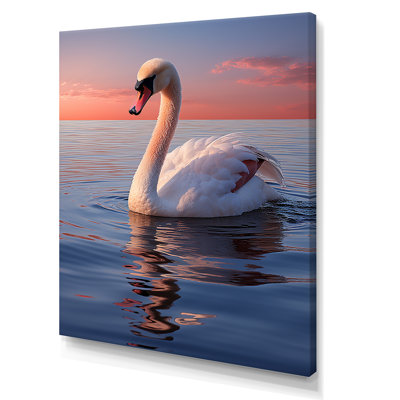 " Swans Serenity Photo I "