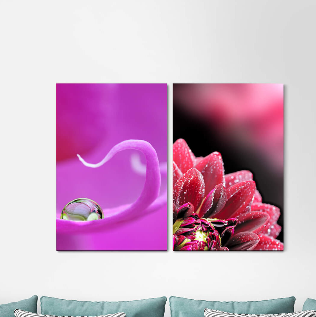 2-tlg. Leinwandbilder-Set - Fotografie „Orchid Zinnias Violet Drops Water Pearl Blossom”