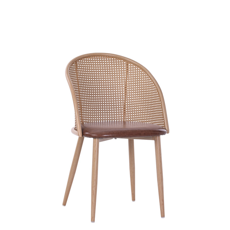 Ensemble de 2 chaises d'appoint en rotin avec siège en cuir d'unité centrale Bauhaus