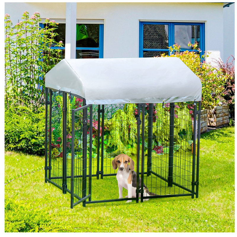 Galvanized Steel Outdoor Dog Kennel with UV-Resistant Roof
