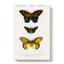Butterfly Illustrations PL. 7 by Charles D Orbigny - Wrapped Canvas-55362110