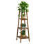 Norene Solid Wood Plant Stand Tier-364820819