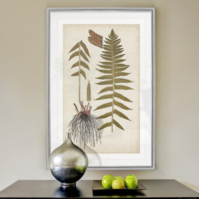 " Fern Botanical V "