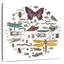 Cercle d'insectes Brampt II brillant-109358167