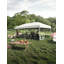 120'' W x 240'' D Metal Canopy-98640778