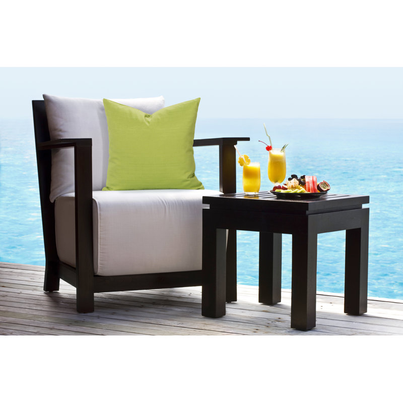 Outdoor Throw Pillow, 20" H x 20" W x 6" D, Citrus