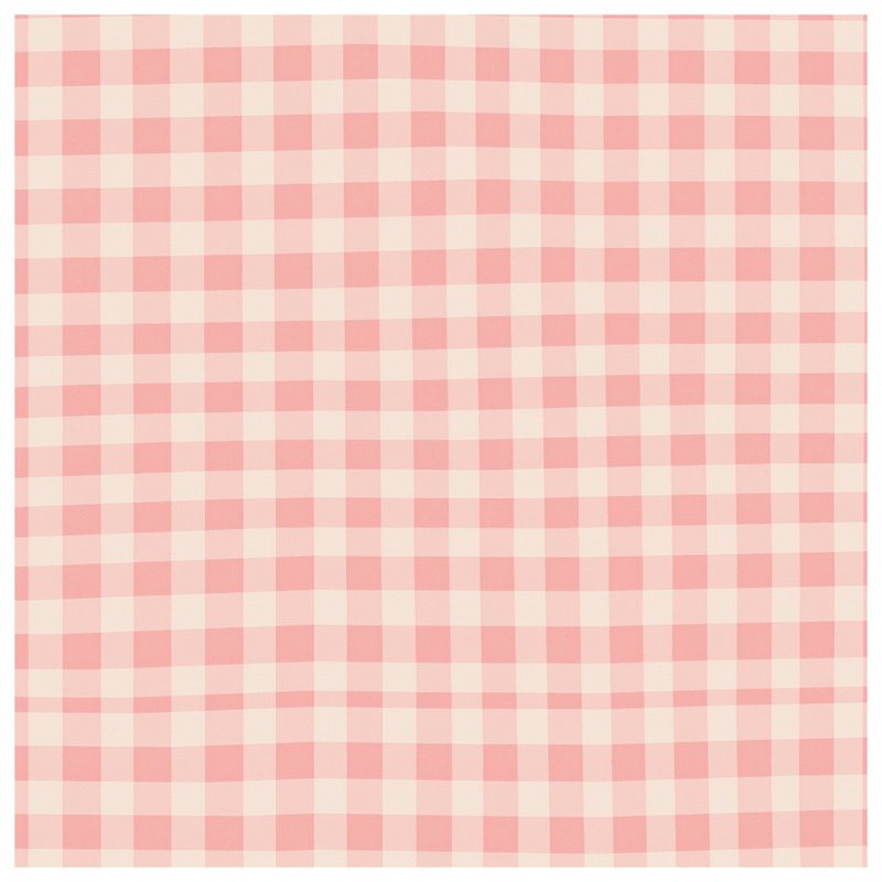 Tapis de bain rose à carreaux vichy, L 34 po x L 21 po