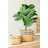 Set Of 2 Rectangular Basket Planters With Geometric Trim, L:10.5X8.5X8" S:7.5X5.5X6.5"