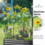 Metal Raised Garden Bed-381179118