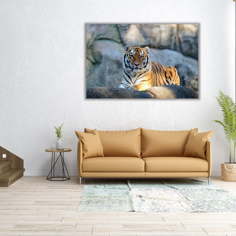 «A Tiger pendant Sunny Day», reproduction d'art sur toile, H 16 po x l 24 po