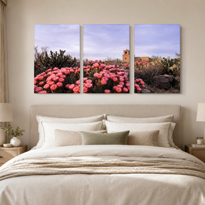 Cactus roses en fleurs avec adobe, ensemble de 3 toiles