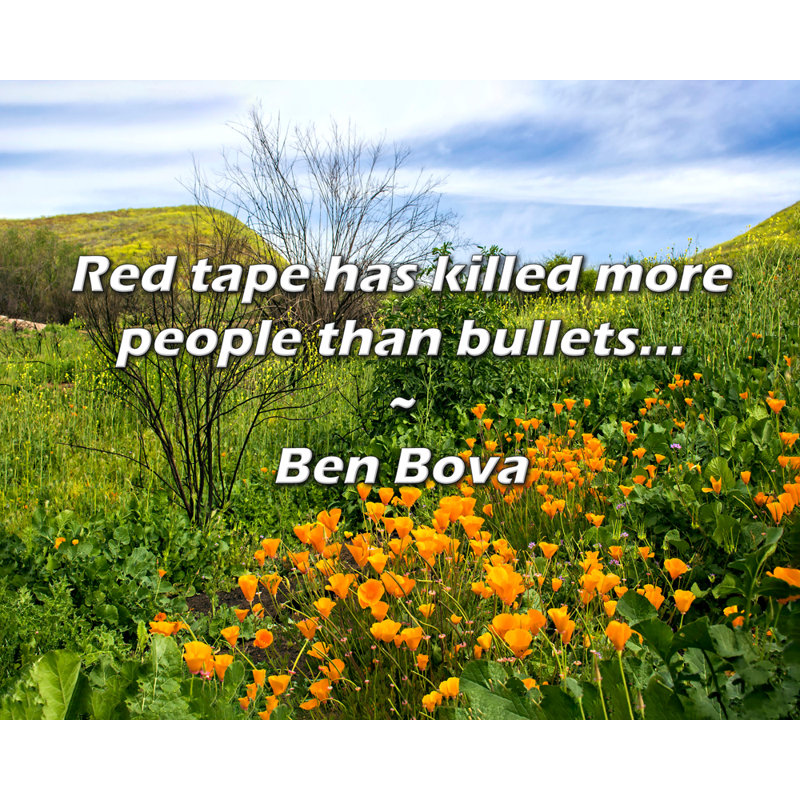 Ben Bova Quote: Red tape has killed more people than bullets..., 26" H x 32" W