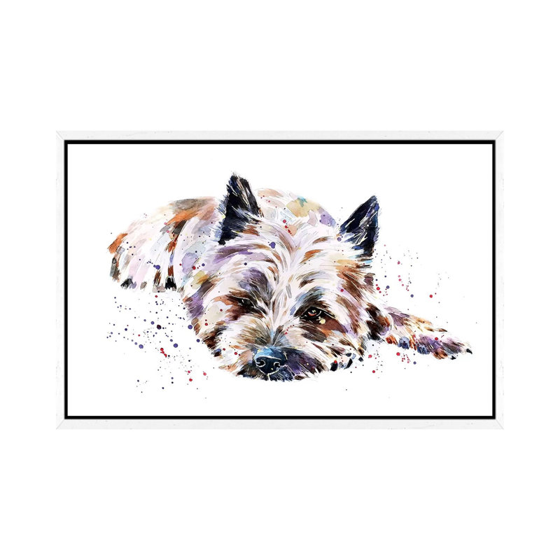 Cairn Terrier I by EdsWatercolours - Painting on Canvas, 45.72cm H x 66.04cm W x 3.81cm D, White Framed
