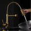 Robinet de cuisine commercial doré fascinant avec douchette extractible, poignée unique, bec pivotant à 360 degrés, garniture en céramique, design moderne, fonction de levier extractible ravissante, col de cygne rotatif, jet et