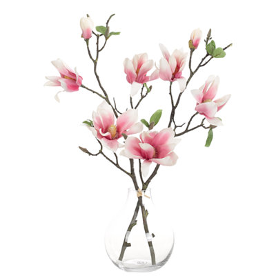 Magnolia, Pink Drop In, Glass Bulb Vase, 19wx9dx22h