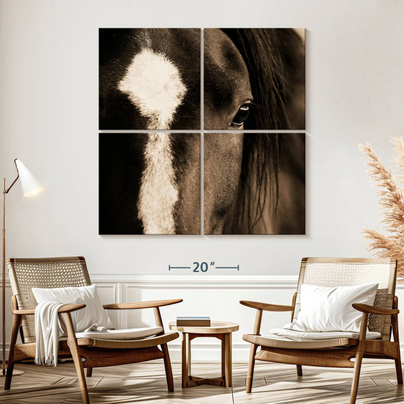Brampt Dark Eyes, 57" H x 57" W