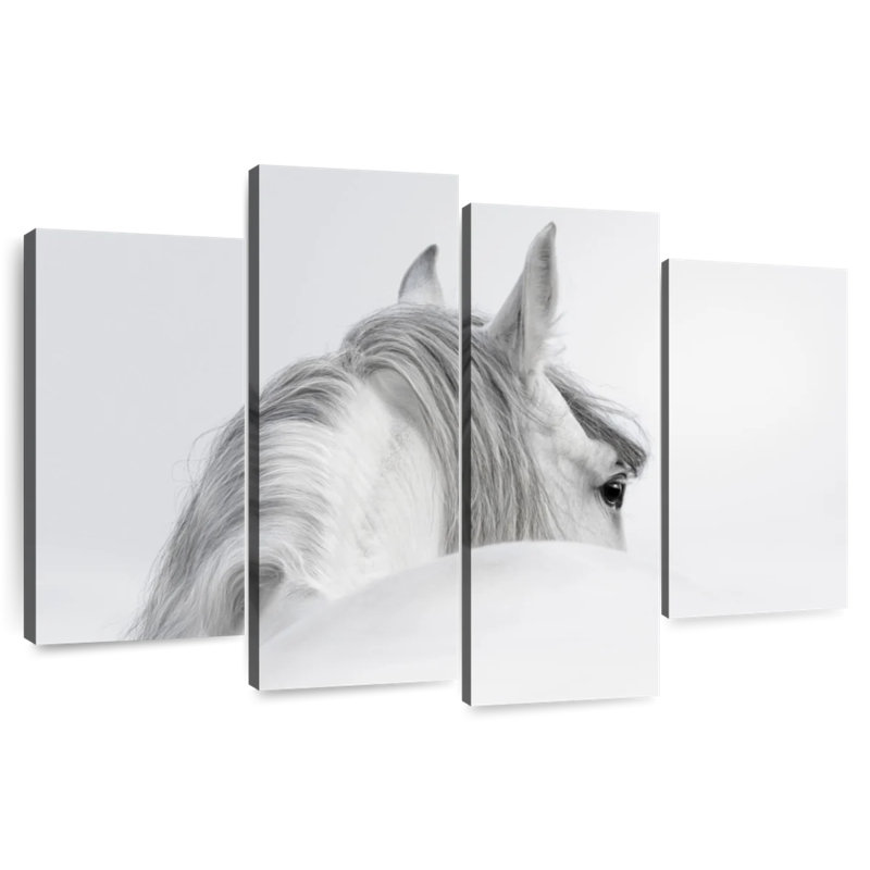 Exquisite White Horse, 22" H x 36" W