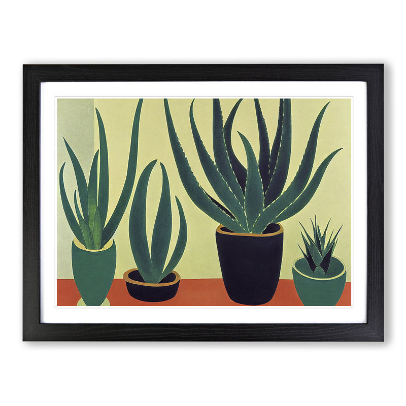 Aloe Vera Plants - Single Picture Frame Print, Black, 46cm H x 64cm W x 2cm D