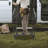 2 - Step Steel Small Step Ladder