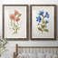 Botanical I - 2 Piece Print-271774468-271774477-271774443