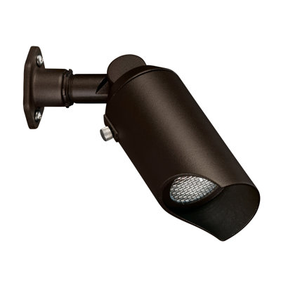 Textured Architectural Bronze Wall Mounted Accent Down Spotlight