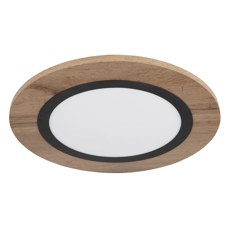 Terrin Plastic LED Flush Mount