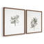Impression florale rétro vintage XXII - ensemble de 2 estampes-715148021-715148022