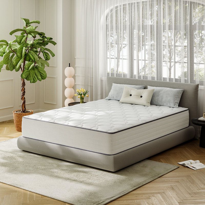 Alwyn Home 10"/12" Plush Hybrid Mattress With Cooling Gel Memory Foam, 10", Twin