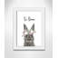 Le lapin est courage-48187586-48187581