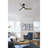 52'' Ceiling Fan with LED Lights-140914822