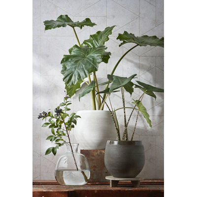 Allyannah Ceramic Pot Planter