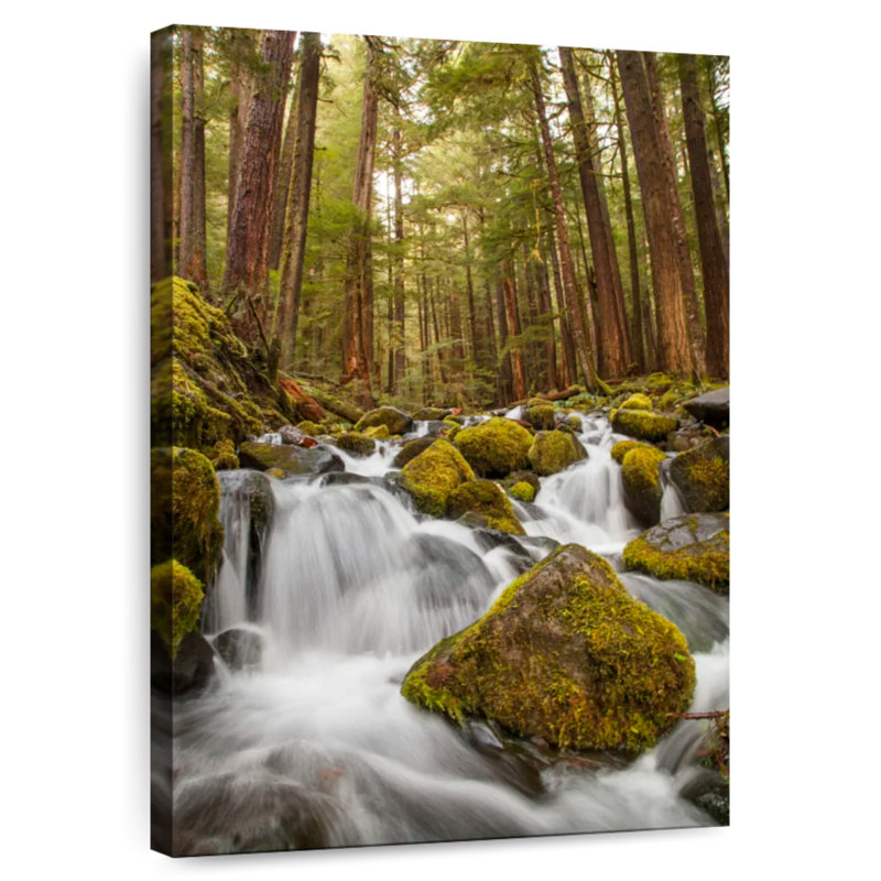 Alvord Forest Stream Boulder, 36" H x 24" W
