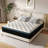 Alwyn Home Timera  Medium Hybrid Mattress-7704309-62865663