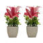 Nevaeha Lily Arrangement in Vase-2056893361-2056893360