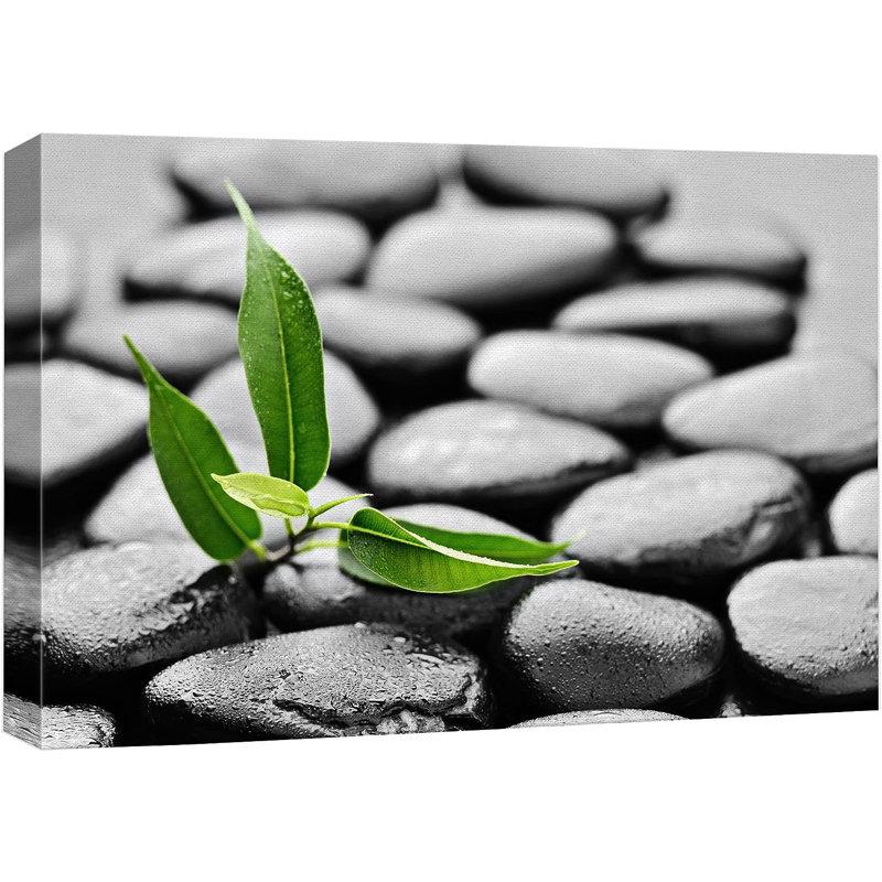 Méditation zen, plage noire, galet vert, forêt, plante, nature sauvage, sur toile, H 32 po x l 48 po x P 1,5 po