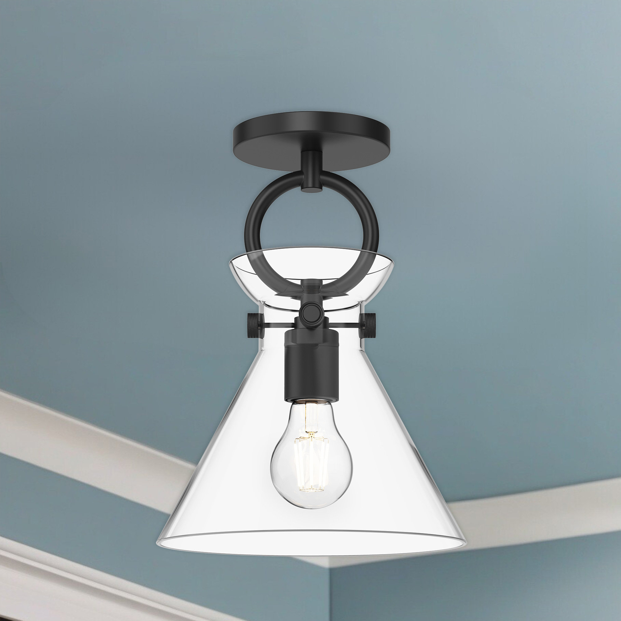 Tiney Single Light Glass Semi Flush Mount, Clear, Matte Black