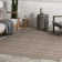 Alaina Indoor/Outdoor Striped Area Rug