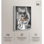 Impression sur toile Frenchie-119992447-123174657