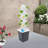 30-hole Garden Hydroponic Growing Kit