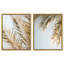 Palm Visions Set High-Gloss Frameless Acrylic Glass Wall Art Floral & Botanical Print by Oliver Gal, Ready to Hang, 16 x 20-102288993-102289003