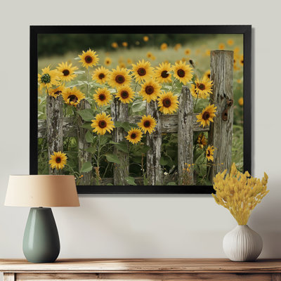 «Draxler Sunflowers And The Farm Fence II - Sunflowers», art mural sur toile