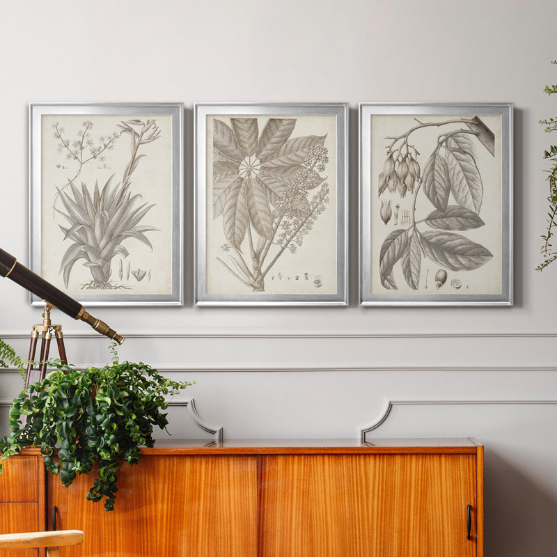 «Sepia Exotic Plants IV», ensemble de 3 peintures sur toile encadrées, H 22,5 po x l 91,5 po x P 1,5 po, Argent