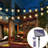 Outdoor 60 - Bulb 240'' Solar Powered LED Wide Angle LED String Light
